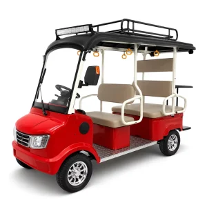 Electric 4 Wheel Vehicle Drum Brake with Digital Display 45H Motor 60V Motorcycle Ebike 6 Seat Golf Cart or Family
