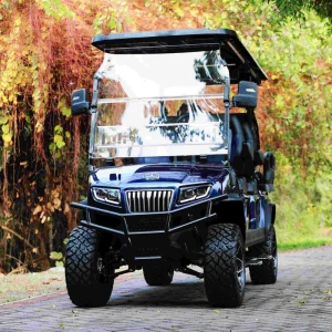 Electric 4+2 Plus Golf Cart with 6 Seats and Storage for Resort Utility