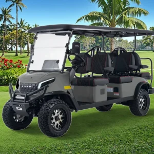 Electric 48V 5kw Motor Golf Cart Steel Material 6 or 8 Seater Buggy with Dot Certificate