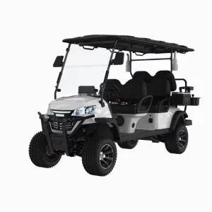 Electric 6 Seater Golf Cart for Rental Business Lithium Battery Low Maintenance High Daily Revenue Complete Solution for Resort