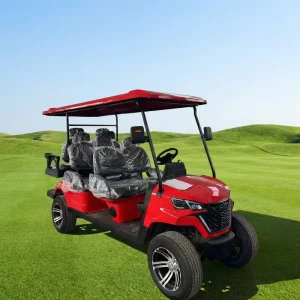 Electric 6 Seater Metal Golf Cart with Lithium Lead Acid Battery 5KW Motor 30 40km h Speed 70 90km Range China Origin