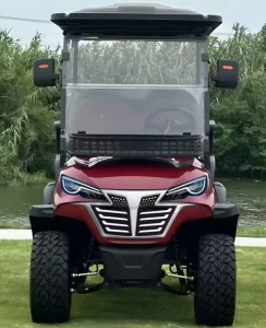 Electric 70-90KM Range 8 Seater Golf Cart for Woodland Operations Short Trip Friendly Spacious Luxury Interior