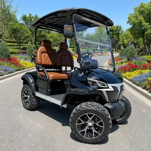 Electric 72V Golf Cart 2 Seater Off Road Buggy with 30-50km/h Speed and 70-90km Range for Garden Villa Hunting