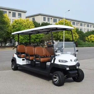 Electric Camping Golf Cart with 6 Seats in the Front and 2 in the Rear