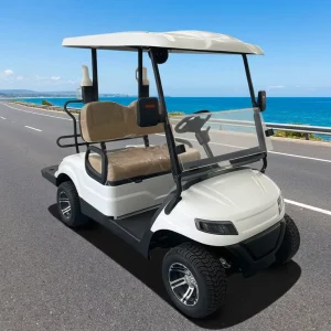 Electric Car High Performance 4WD Lithium Battery Golf Cart with 3.5 7kW Motor for Leisure Tourism