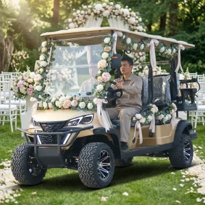Electric Club Car Golf Buggy 6 Seat Electric Golf Carts