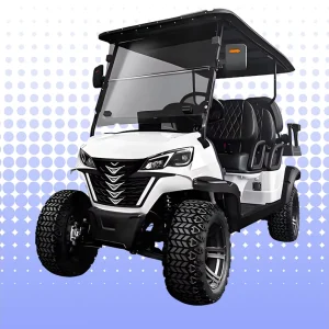 Electric Four Seater Hunting Golf Cart Luxury Electric Golf Cart 48V/60V/72V Battery 30-50 km/h Can Be Customized