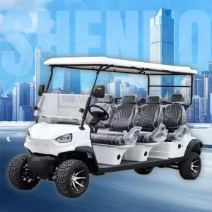 Electric Golf Buggy Luxury Golf Cart 6 Person for Campus Shuttle