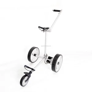 Electric Golf Buggy with Remote