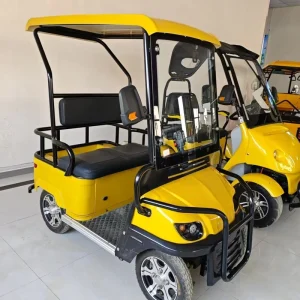 Electric Golf Car 4 6 8 Seats Supply Customized Classic Golf Vehicle Club Cart