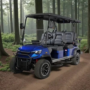 Electric Golf Car DC-G-F4+2 Golf Buggy 6 Seater Factory Customized Golf Cart Price