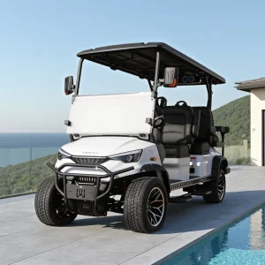 Electric Golf Car DC-G-F4+2 New Arrival Golf Buggy 6 Seater Factory Customized Golf Cart Price