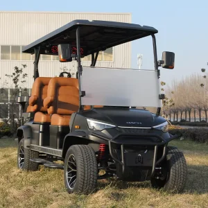 Electric Golf Car Popular DC-G-F4+2 Golf Buggy 6 Seater Factory Customized Golf Cart Price