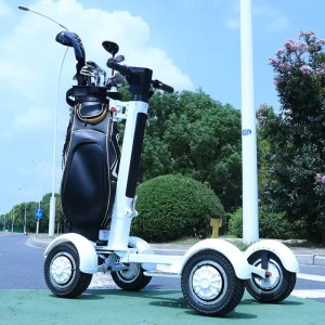 Electric Golf Car Scooter 2000W 48V 20km Trolley Four Wheels Scooter Wheels Golf Car