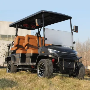 Electric Golf Car Trustworthy China Supplier DC-G-F4+2 Golf Buggy 6 Seater Factory Customized Golf Cart Price