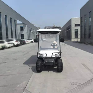Electric Golf Cart 1-2 Seats Customizable Color Lithium Battery