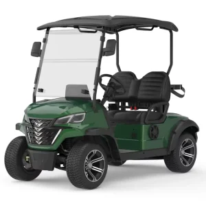 Electric Golf Cart