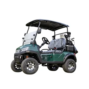 Electric Golf Cart 2 Passenger Golf Buggy