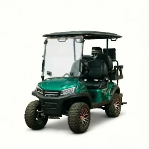 Electric Golf Cart 2 Seat Off Road Sightseeing Vehicle 60V Battery Voltage