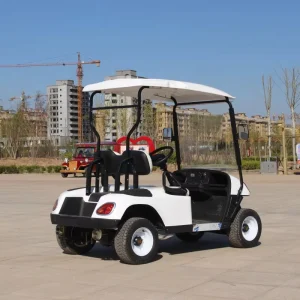 Electric Golf Cart 2 Seater Golf Buggy