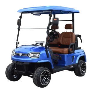 Electric Golf Cart 2 Seater Golf Buggy Custom for Golf Course