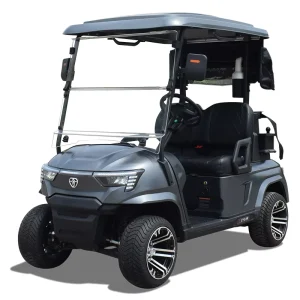 Electric Golf Cart 2 Seater Golf Car 48V 72V Street Legal Small Golf Cart