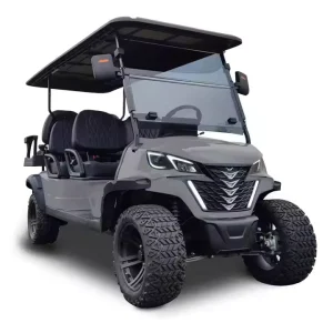 Electric Golf Cart 2 Seater Luxury Customizable LED Instrument 8 Batteries Jeep Mini Golf Car