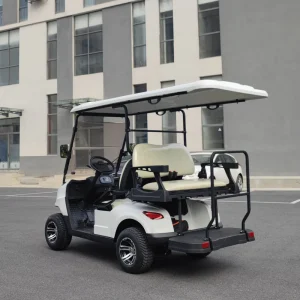 Electric Golf Cart