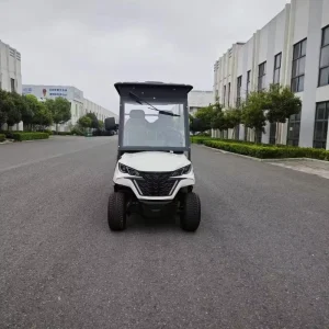 Electric Golf Cart 3 4 Seater 48V 30 50Km h