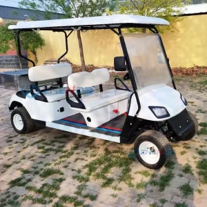 Electric Golf Cart