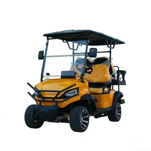 Electric Golf Cart 4 Seater 48V 5KW Customized Refrigerator and Audio CE Certification