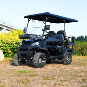 Electric Golf Cart 4 Seater 48V 72V Lithium Power Golf Carts for Sale