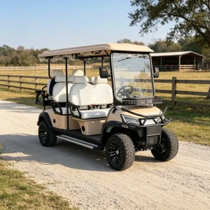 Electric Golf Cart 4 Seater DOT Certified 72V Lithium for US with Custom Color and Rear Cargo Box Extra Utility Space
