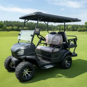 Electric Golf Cart 4 Seater Lithium Battery 48V with 30Km/h Speed and 70-90km Range
