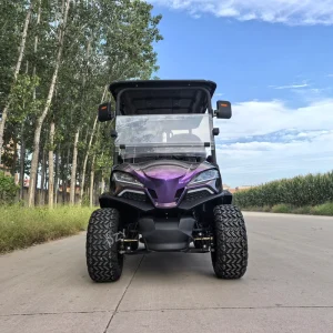 Electric Golf Cart 4 Seater Off Road Street Legal Hunting Sightseeing Cart 48V/60V/72V Battery
