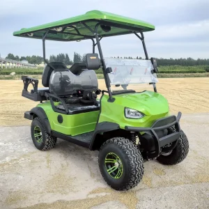 Electric Golf Cart 4 Seater Street Legal DOT Approved 48V Lithium Battery with 30Km/h Speed and 90km Range