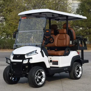 Electric Golf Cart 4 Seaters 4 Wheel 72V