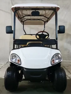 Electric Golf Cart
