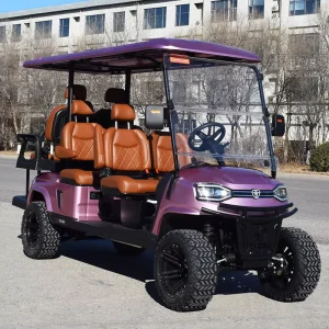 Electric Golf Cart