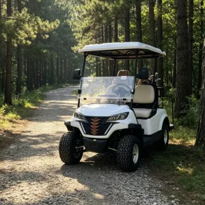 Electric Golf Cart 6 Seater 72V Lithium Battery 5kw Motor DOT Certified for Golf Courses and Club