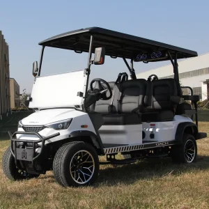 Electric Golf Cart 6 Seater Golf Buggy DC G F4+2 China Golf Car