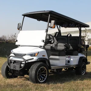 Electric Golf Cart 6 Seater Golf Buggy DC-G-F4+2 Golf Car