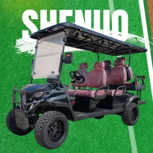 Electric Golf Cart 6 Seater Lithium Ion Street Legal and Gasoline Golf Cart 6 Seater