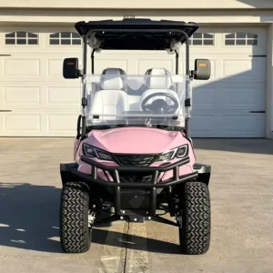 Electric Golf Cart 6 Seats Lithium Battery Street Legal Certified for Sightseeing and Golf Course