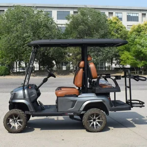 Electric Golf Cart