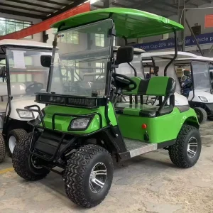 Electric Golf Cart 7 8 Seats 3000W 5000W Motor 30km h Max Speed Lead Acid Battery 70 90km Range