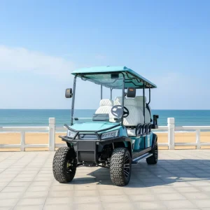Electric Golf Cart 8 Seater Street Legal Customized for Playing Golf and Pick up Passengers