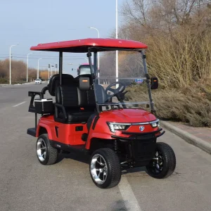 Electric Golf Cart