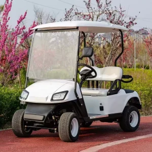 Electric Golf Cart Buggy 60V Battery 3.5KW Motor Steel Material DOT EEC and GCC Certified