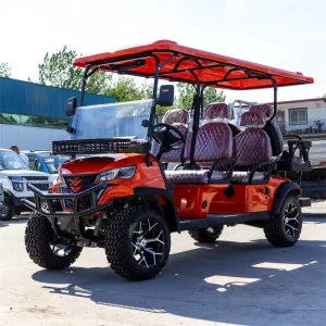 Electric Golf Cart CE Certified 60V 5 6 Seats for Rental Business